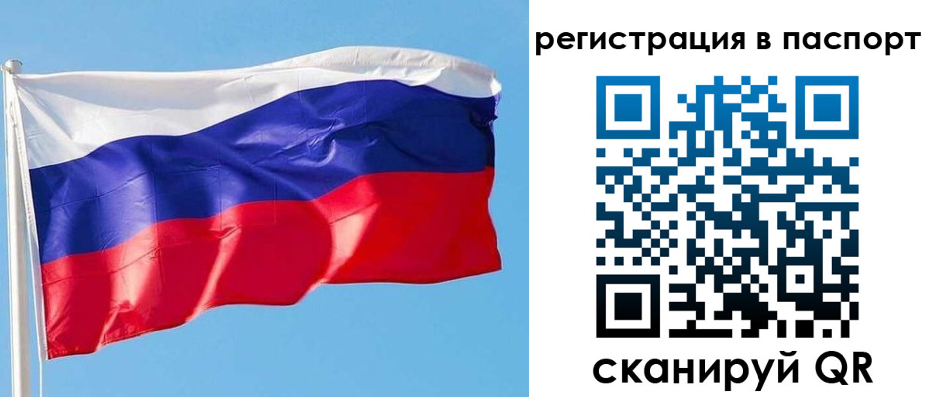 прописка законно в Николаевске